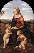 RAFFAELLO Sanzio The Virgin and Child with Saint John the Baptist (La Belle Jardinire)  af oil on canvas